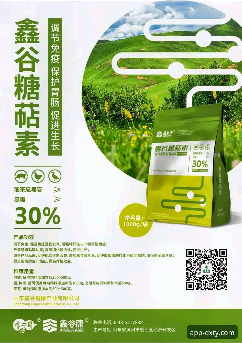 最新德信体育DXTY 德信体育平台实用指南:从最新版本下载到高效使用的必备知识